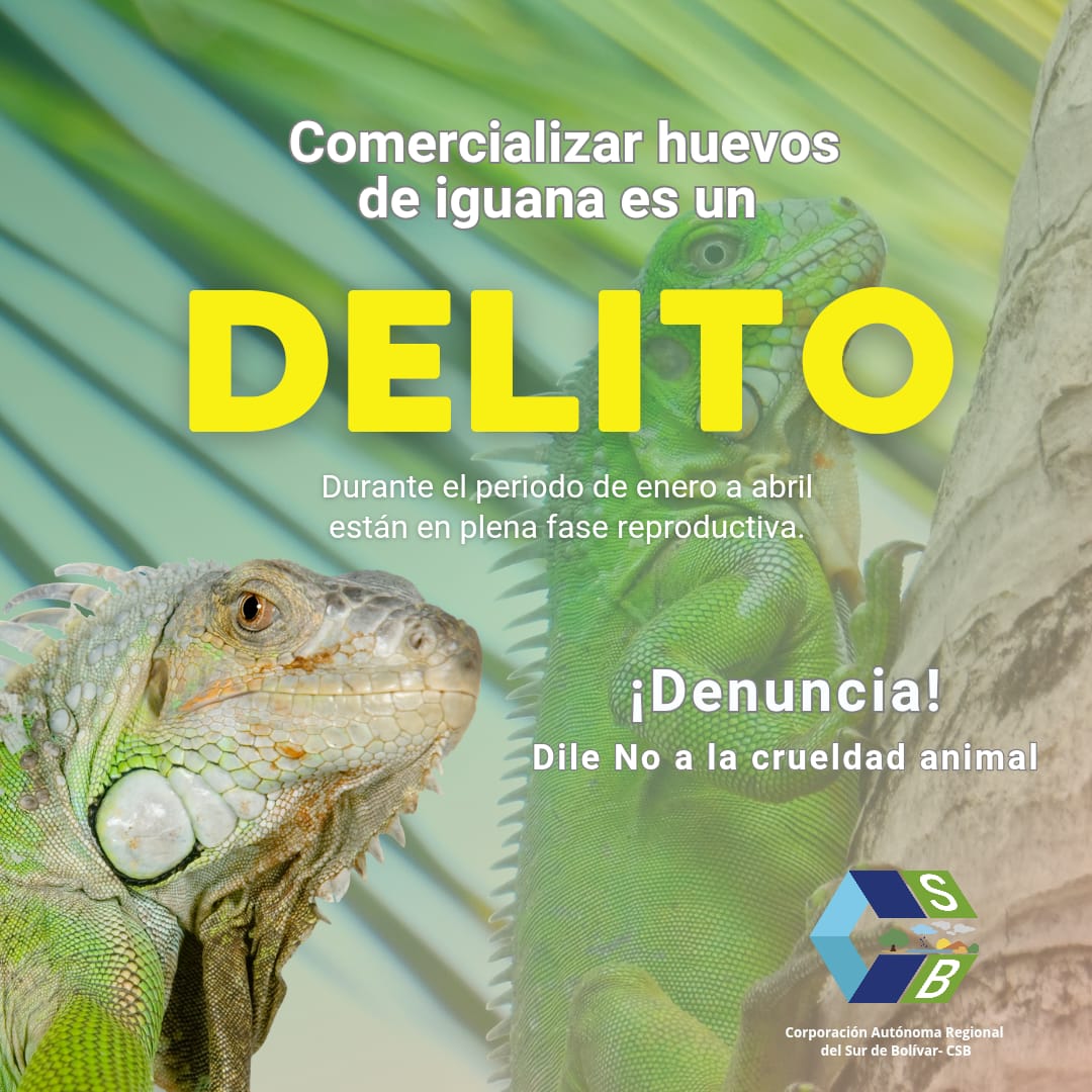 Evento
    Principal